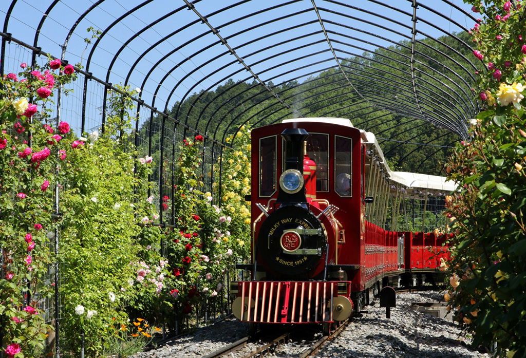 SL列車「ローザン鉄道ミルキーウェイ」/ローザンベリー多和田(滋賀県/米原市)
