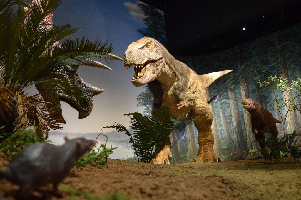 ミュージアムパーク茨城県自然博物館の羽毛をまとったティラノサウルス