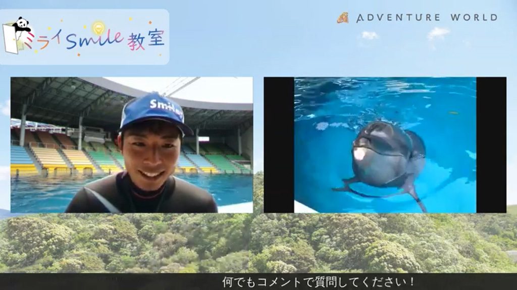 ミライSmile教室/アドベンチャーワールド（和歌山県/白浜町）