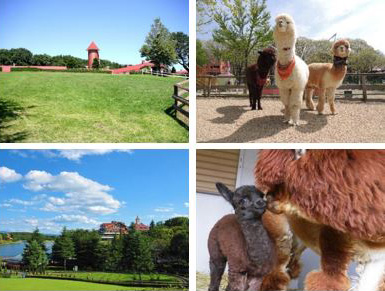 那須りんどう湖レイクビュー(栃木県/那須町)