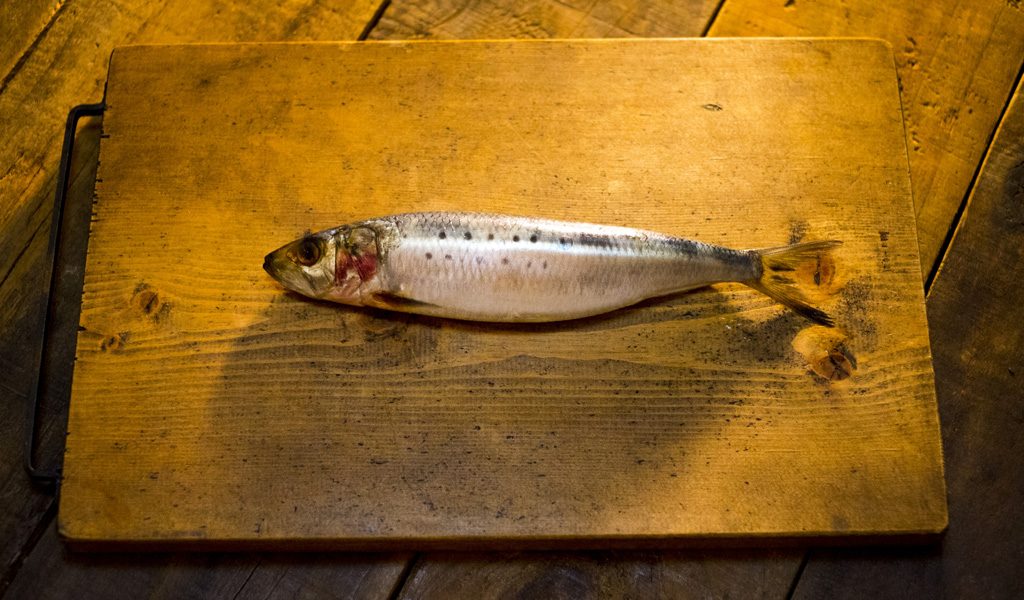 まな板のイワシ