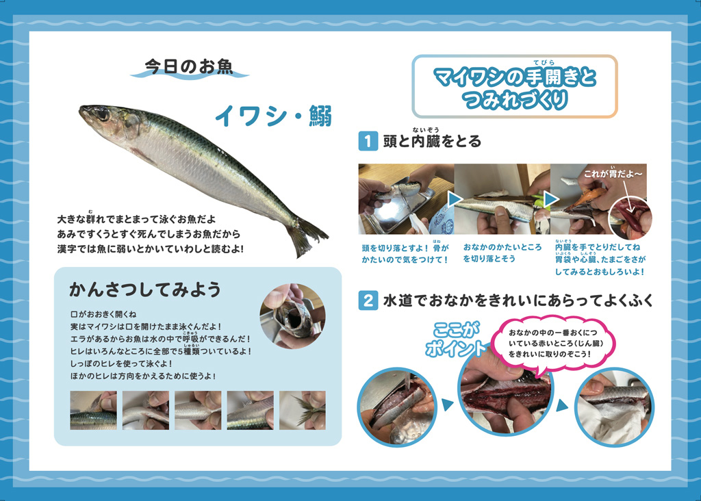 イワシの手開き方法