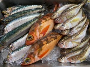 おうち時間に親子で料理体験!「お魚体験直送便」でいわしのつみれづくりに挑戦!