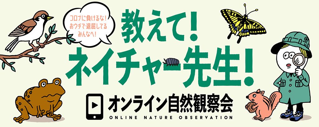 「教えて！ネイチャー先生」オンライン自然観察会