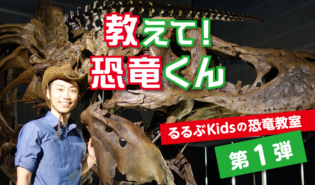 教えて！恐竜くん