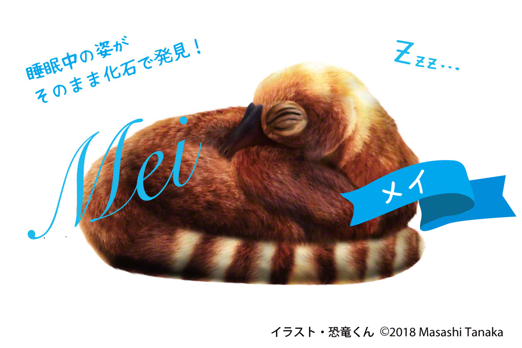 「眠る」と名付けられたメイ