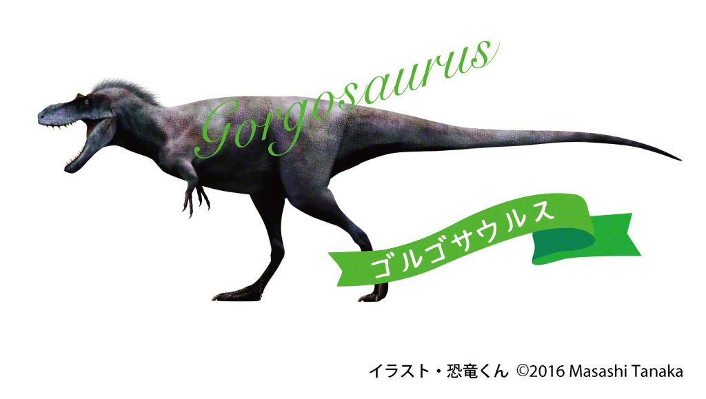 2020年夏、宮城県で開催の『肉食恐竜展』でも公開予定のゴルゴサウルス!!