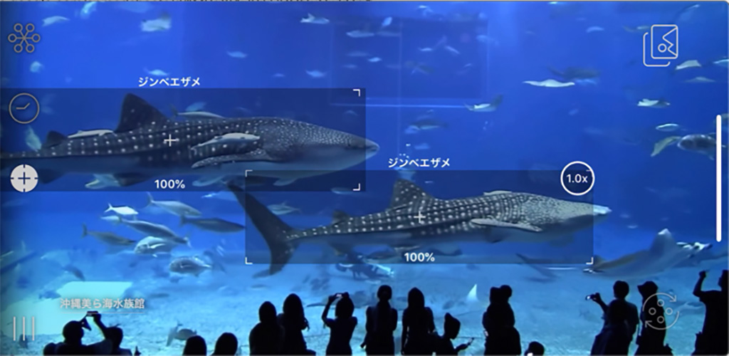 沖縄美ら海水族館」で、かざすAI図鑑アプリ「LINNÉ LENS(リンネレンズ