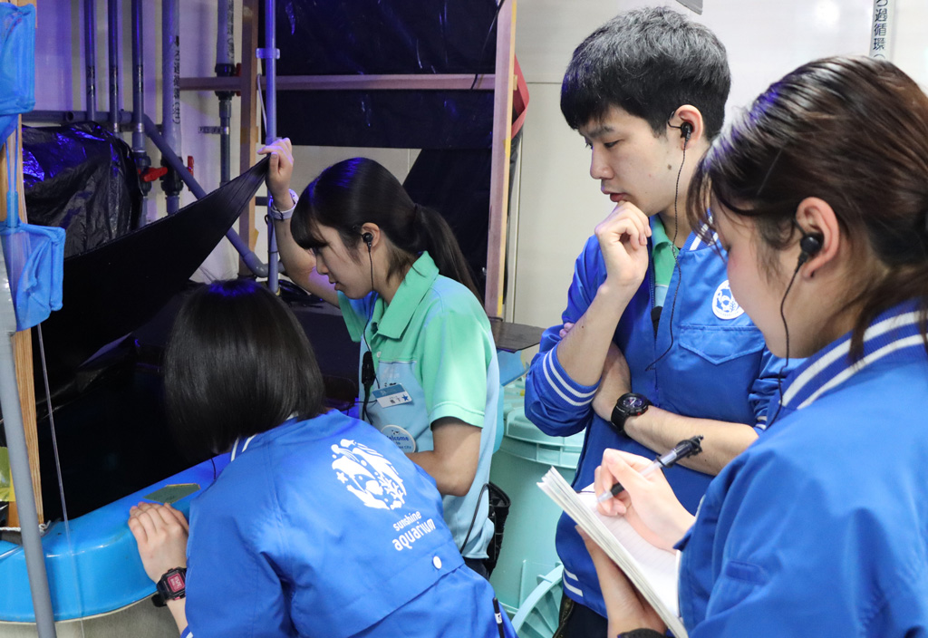 飼育チームによる飼育の様子/サンシャイン水族館(東京都/豊島区)