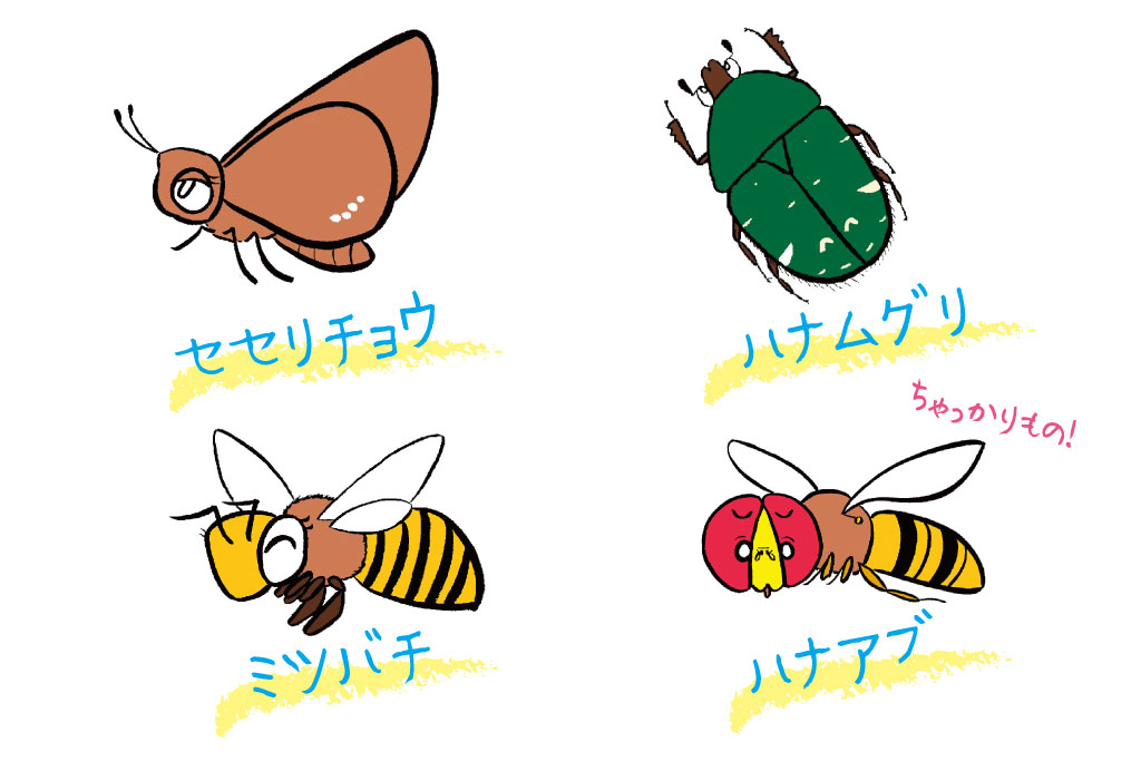 セセリチョウ、ハナムグリなどのイラスト/花壇にいる虫