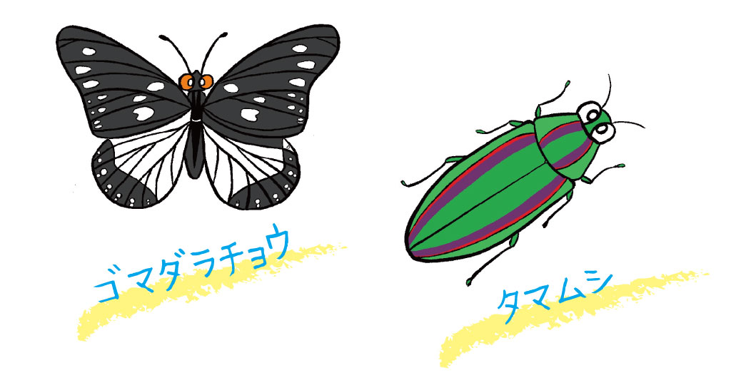 ゴマダラチョウとタマムシのイラスト/樹木にいる虫