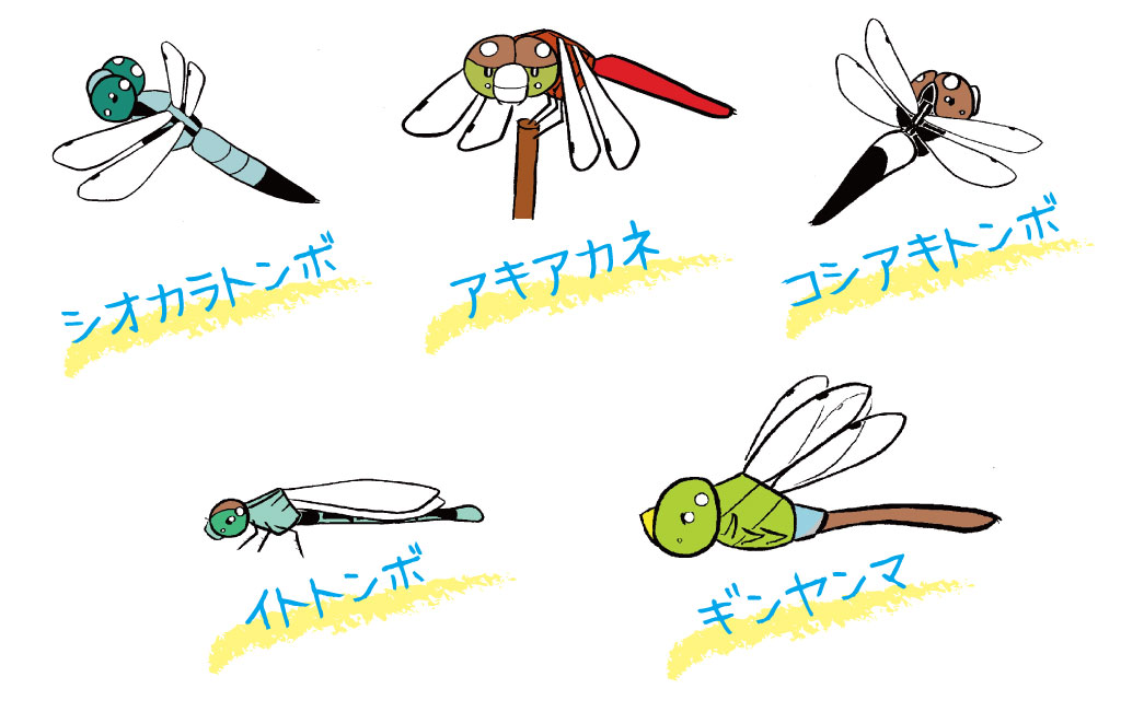 トンボの仲間のイラスト/水辺にいる虫