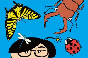 近場で昆虫観察！虫の探し方は？人気の花は？都内おすすめ公園の昆虫レポート付き