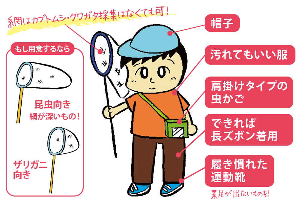 昆虫採集の服装や道具のポイントのイラスト