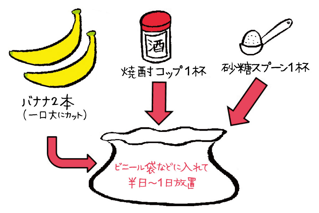 カブトムシ、クワガタを確実に捕まえるための仕掛けの秘伝レシピのイラスト