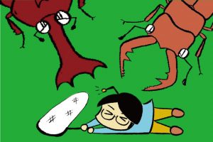 カブトムシ・クワガタの捕まえ方のポイント!場所・時間帯・仕掛けレシピ・飼育まで