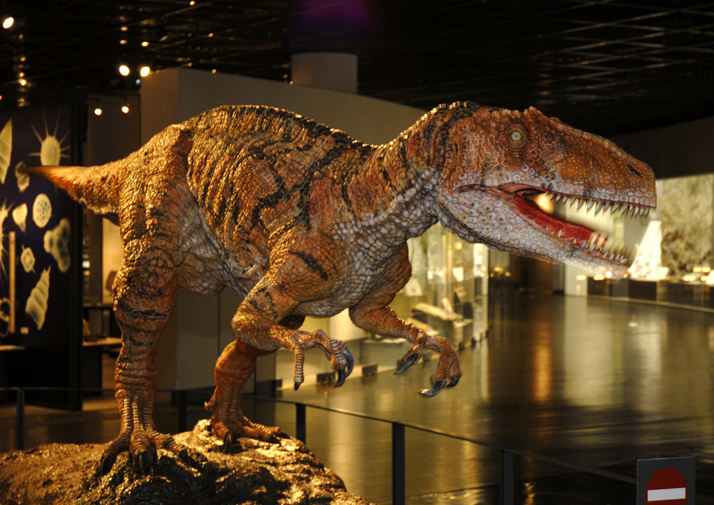 フクイラプトルのロボット 画像提供:福井県立恐竜博物館