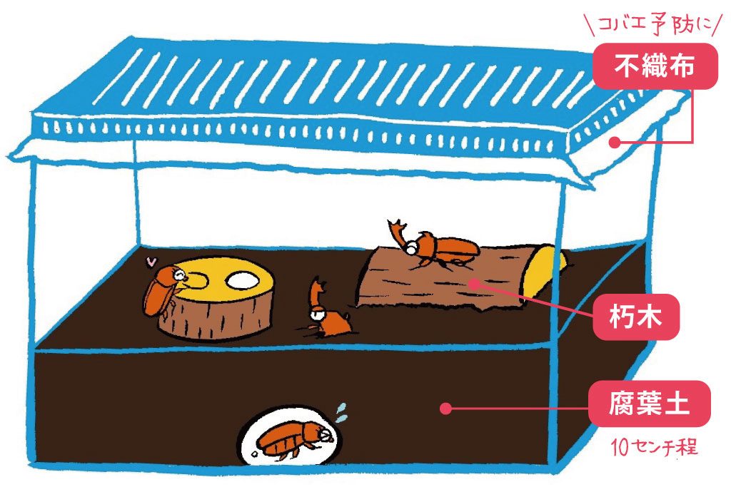 快適な昆虫部屋を作ろう！イラスト