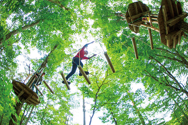 安全装置を付けて樹上を冒険する「スウィートグラスアドベンチャー」/北軽井沢スウィートグラス(群馬県/長野原町)