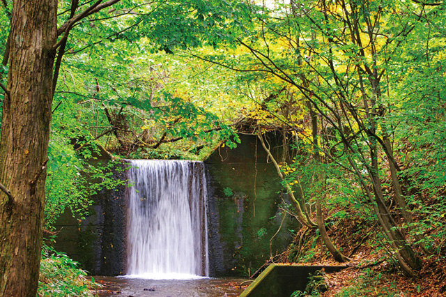 >雑木林で水あそびや自然観察が楽しめる/北軽井沢スウィートグラス(群馬県/長野原町)