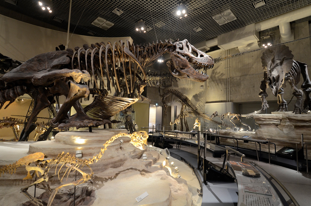 「地球館」の恐竜骨格展示/国立科学博物館(東京都/台東区)