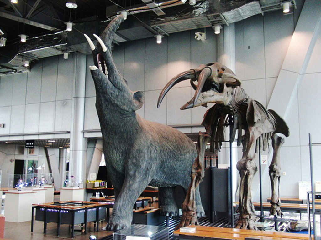 自然史系展示室「ふるさとの自然」で見られるセンダイゾウなど/スリーエム仙台市科学館(宮城県/仙台市)