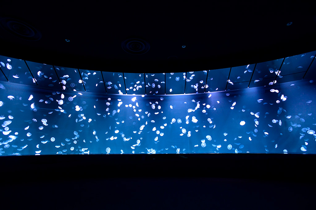 サンシャイン水族館の「サンシャインラグーン」（東京都/豊島区）