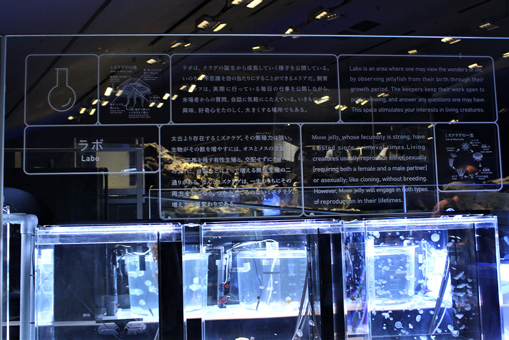 すみだ水族館の「アクアベース」(東京都/墨田区)