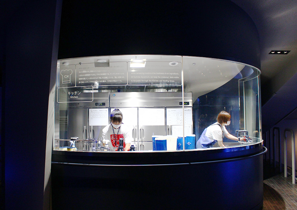 水族館内の生きものにゴハンを用意する様子/すみだ水族館(東京都/墨田区)