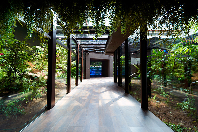 太陽光もとりいれた「アマゾンゾーン」の昼/カワスイ 川崎水族館（神奈川県）