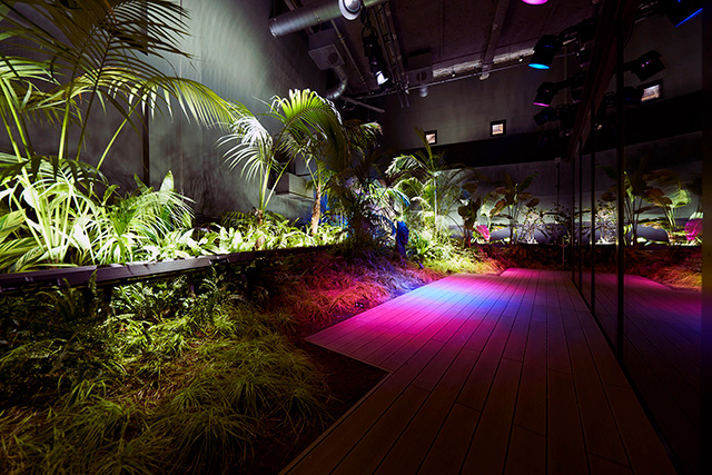 「アマゾンゾーン」の夜のライティング/カワスイ 川崎水族館（神奈川県）