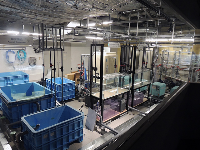 南アメリカゾーンにあるアクア・ラボ エリア/カワスイ 川崎水族館（神奈川県）