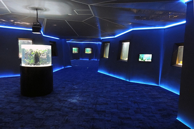 オセアニア・アジアゾーン/カワスイ 川崎水族館（神奈川県）