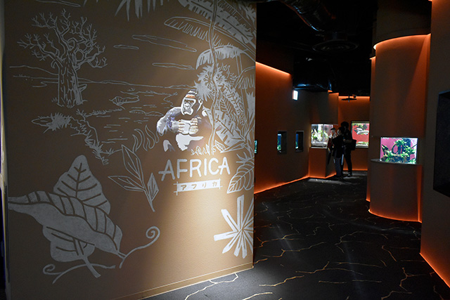 アフリカゾーン/カワスイ 川崎水族館（神奈川県）