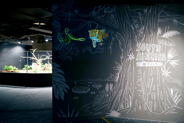 南アメリカゾーン/カワスイ 川崎水族館（神奈川県）