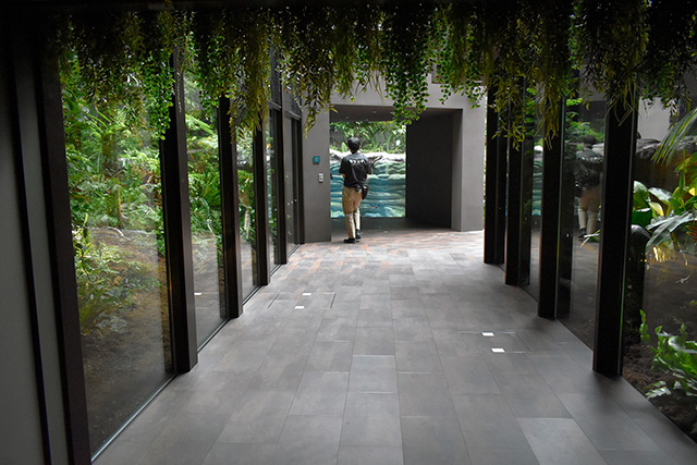 アマゾンゾーンの通路/カワスイ 川崎水族館（神奈川県）