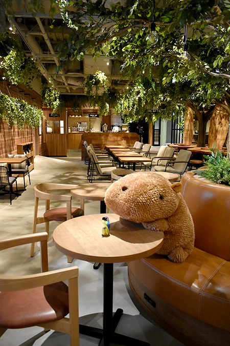 こもれびカフェ店内/カワスイ 川崎水族館（神奈川県）