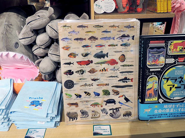 「クリアファイル カワスイの生き物たち」/カワスイ 川崎水族館（神奈川県）