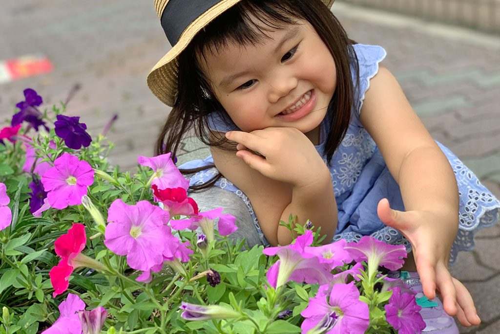 「この花なあに？」の会話が子どもを伸ばす！ 道端の花の楽しみ方[夏編]