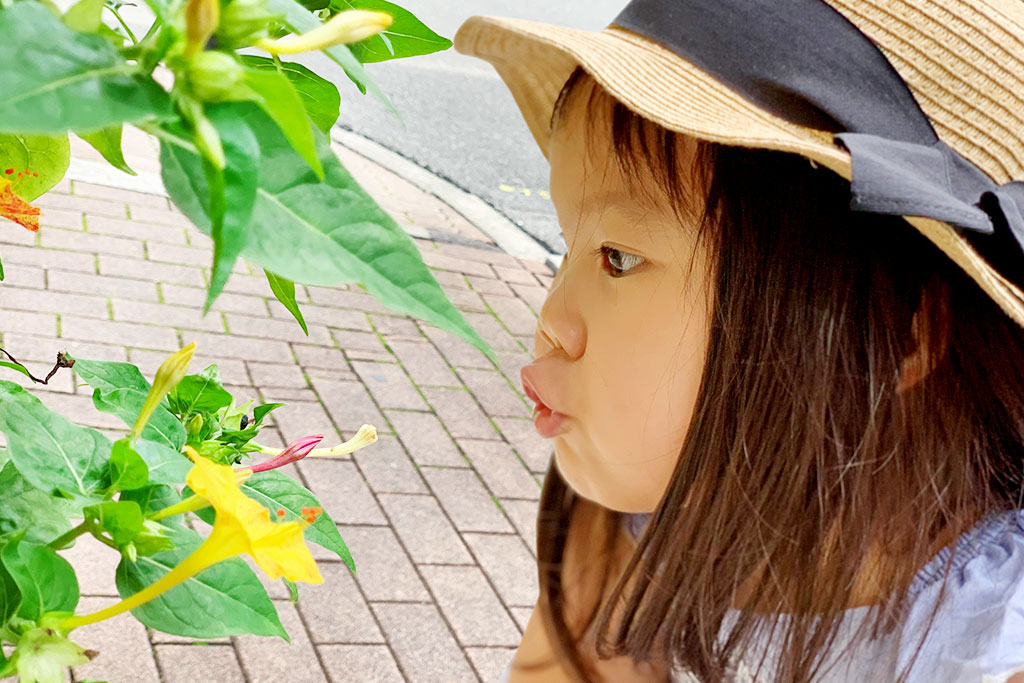 オシロイバナを見つけた女の子