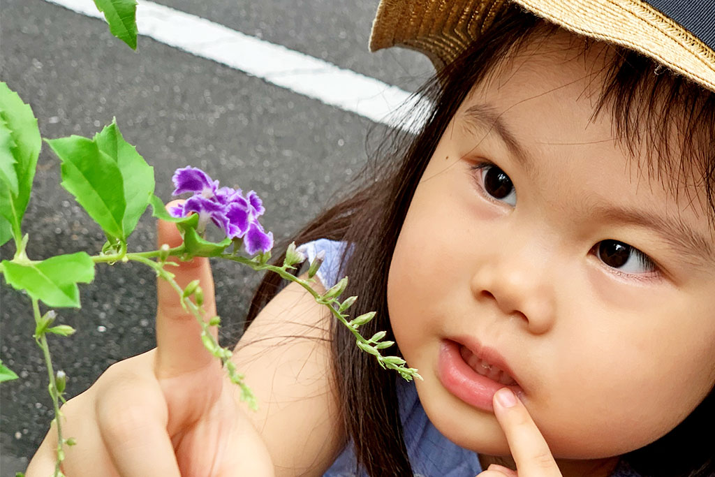 デュランタを近くで見る女の子