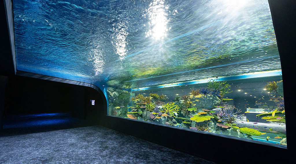 サンゴ礁と熱帯魚が見られる水槽/DMMかりゆし水族館（沖縄県／豊見城市）