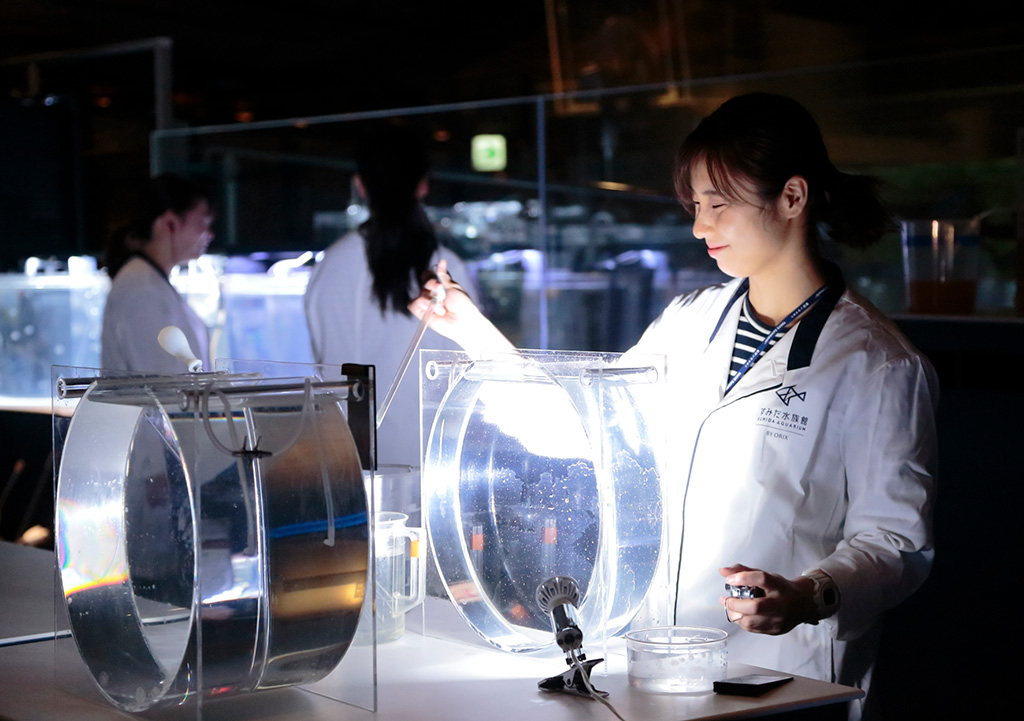 クラゲの飼育などが見られる/すみだ水族館（東京都／墨田区）