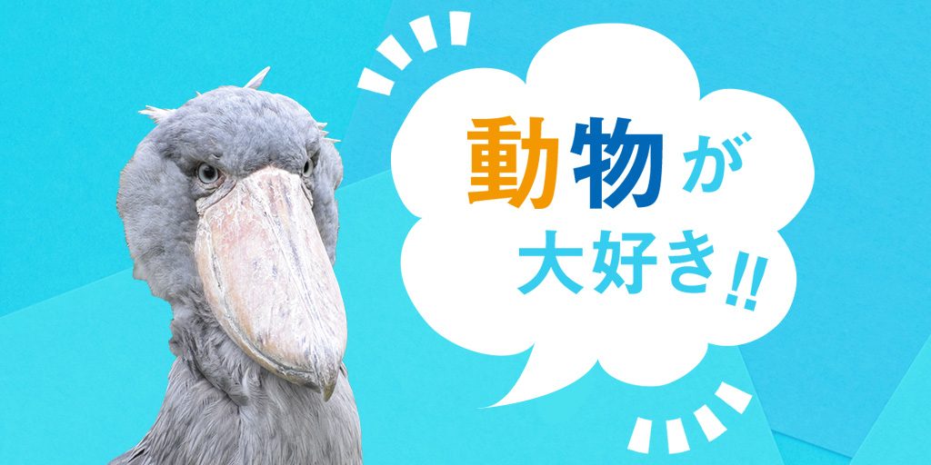 動物が大好き!! ｜希少な動物やふれあいが人気の動物にワクワク