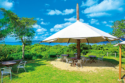 宮良農園(沖縄県/石垣市)