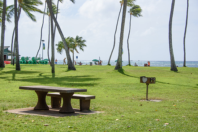 ハワイのビーチ沿いの公園
