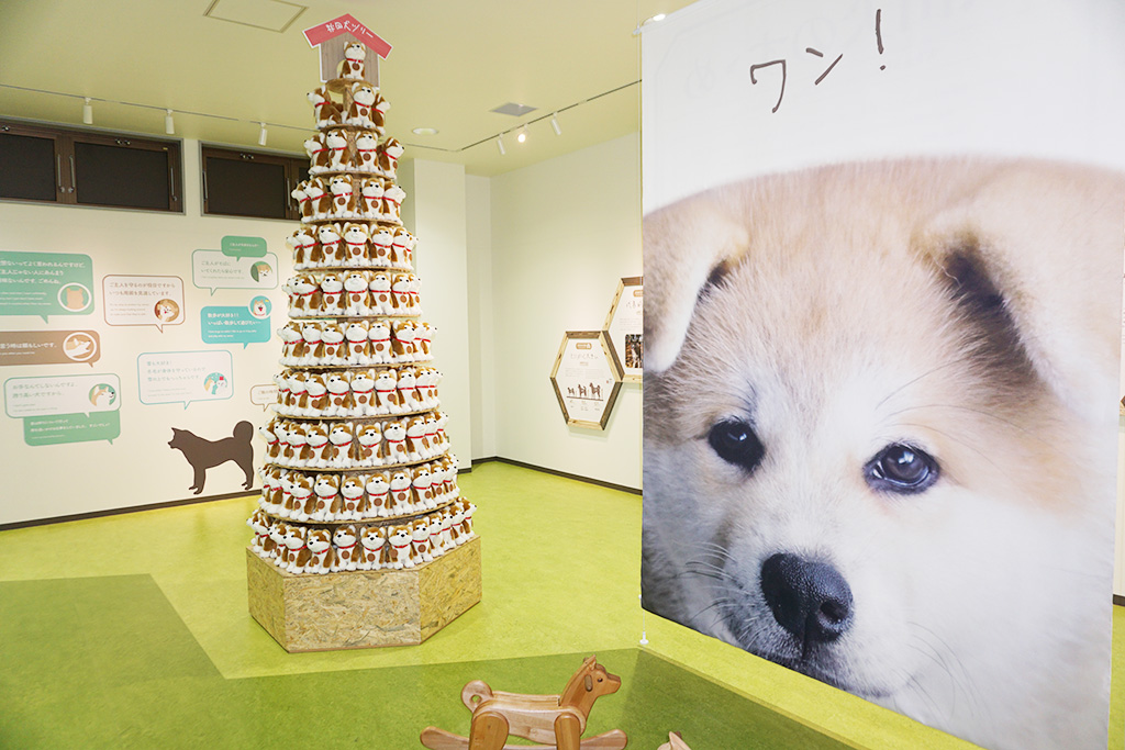 ザギトワ選手の愛犬「マサル」のぬいぐるみ/秋田犬の里(秋田県/大館市)