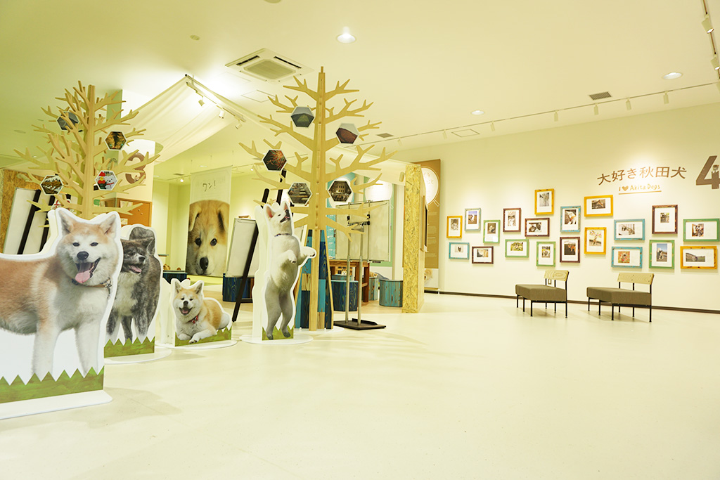 秋田犬の里(秋田県/大館市)