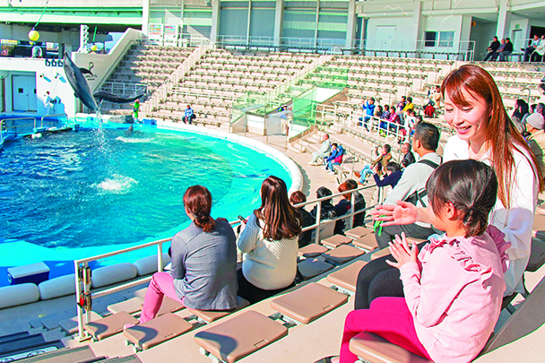 イルカショーの様子/仙台うみの杜水族館(宮城県/仙台市)
