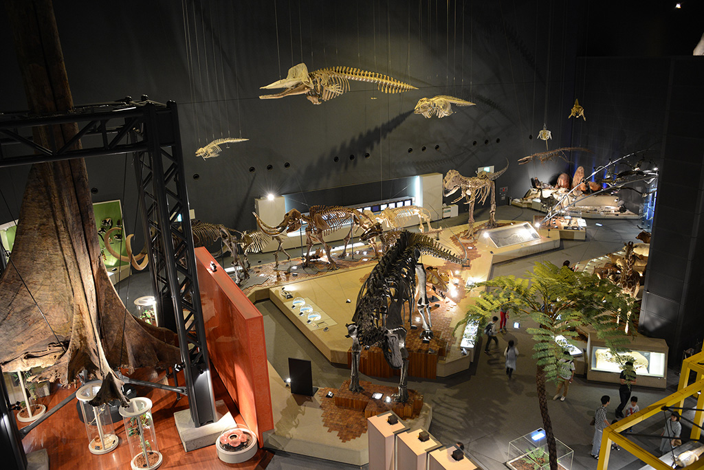 神奈川県立生命の星・地球博物館、館内の様子(神奈川県/小田原市)